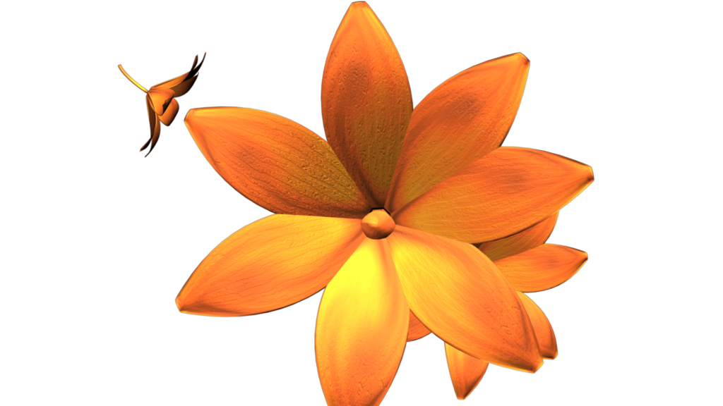 Nature Video Clipart of Orange Flowers